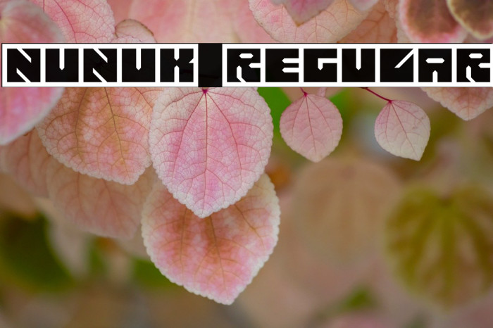 Nunuk Regular Example 3