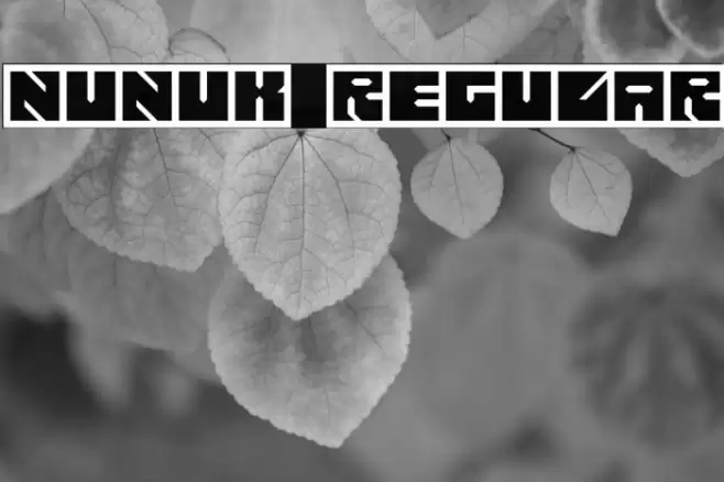 Nunuk Regular Caratteri examples