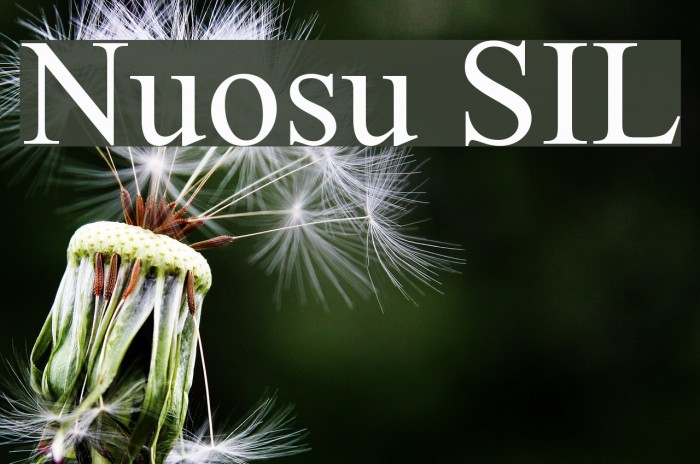Nuosu SIL Font examples