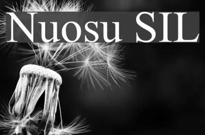 Nuosu SIL Fuentes examples