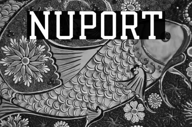 Nuport Example 3