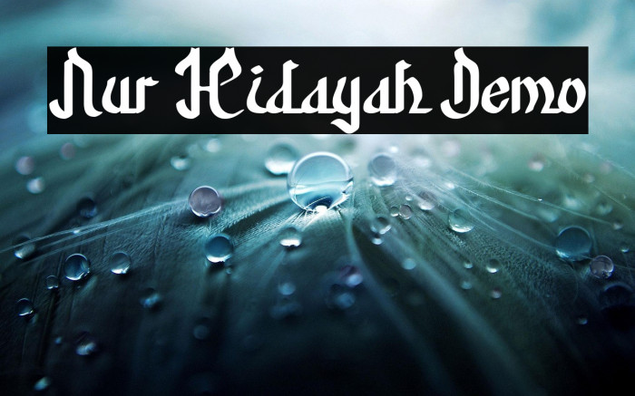 Nur Hidayah Demo Example 1