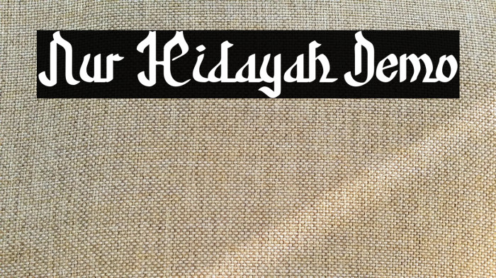 Nur Hidayah Demo Example 2