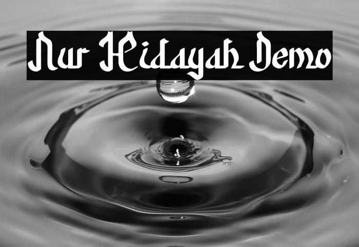 Nur Hidayah Demo Example 3