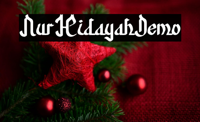 NurHidayahDemo Example 2