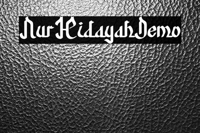 NurHidayahDemo Example 3