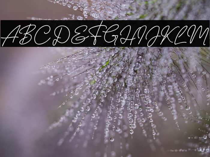 Nura Asyifa Example 1