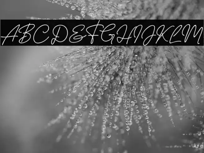 Nura Asyifa Schriftart examples