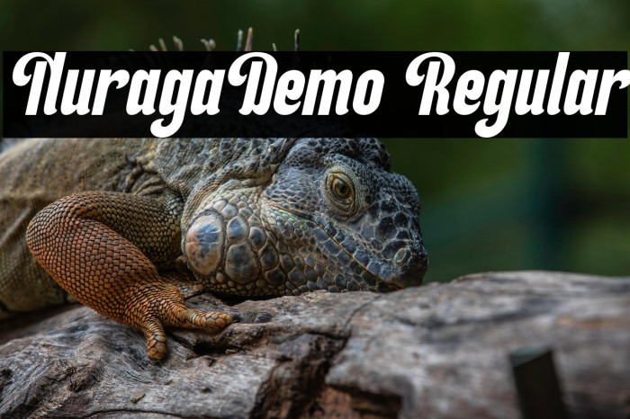 NuragaDemo Regular Example 1