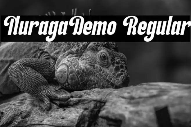 NuragaDemo Regular Example 1