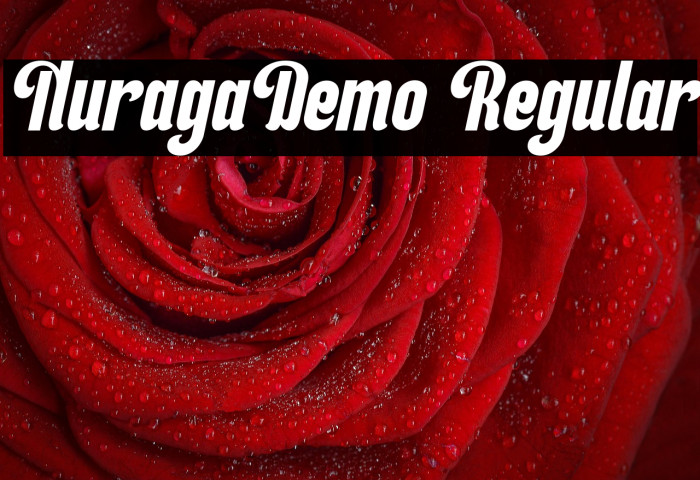NuragaDemo Regular Example 2