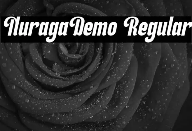NuragaDemo Regular Example 2