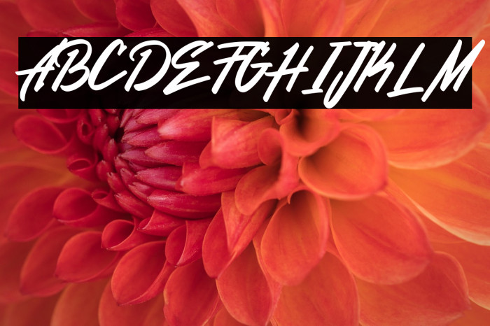 Nurani Demo Version Example 1