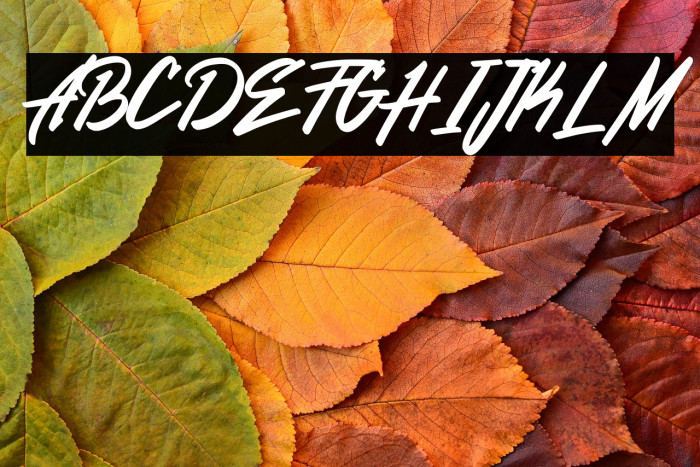 Nurani Demo Version Example 3