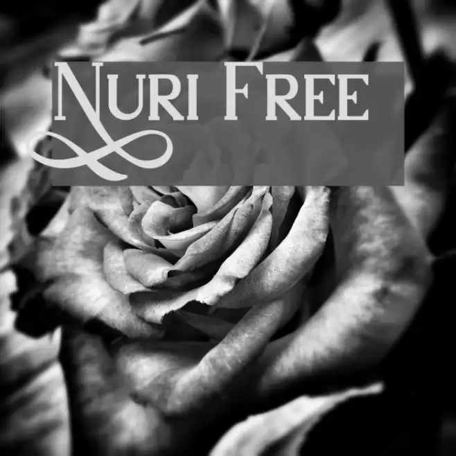 Nuri Free Font examples