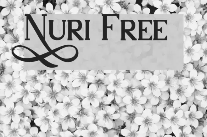 Nuri Free Font examples