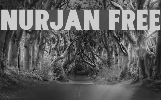 Nurjan Free Example 3