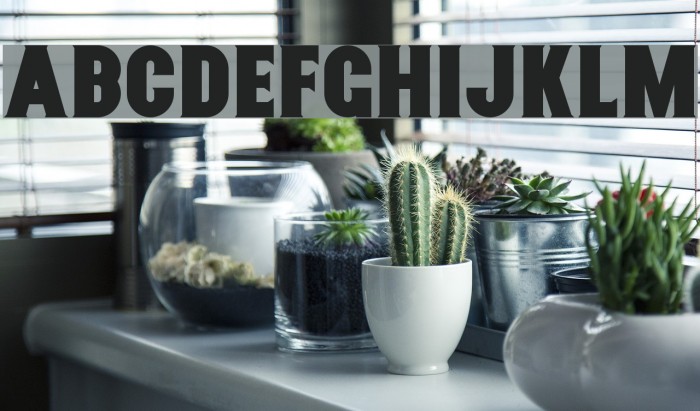 NurjanFree Font examples