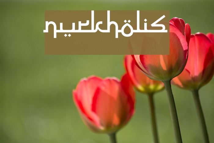 Nurkholis Schriftart examples