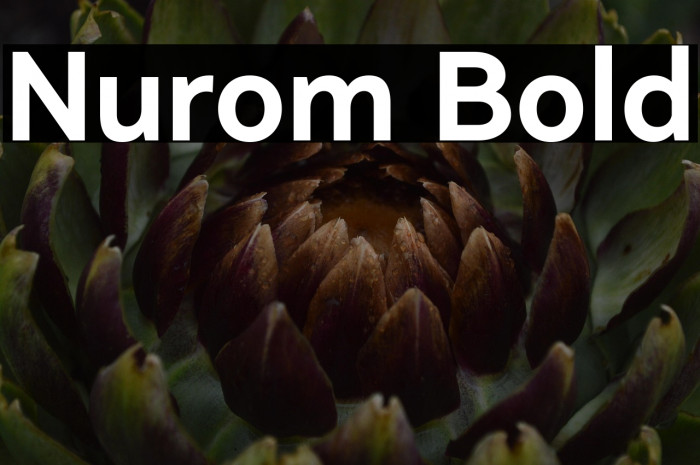 Nurom Bold Example 2