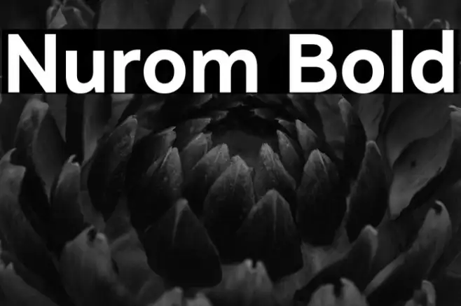 Nurom Bold Example 2