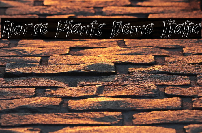 Nurse Plants Demo Italic Example 1