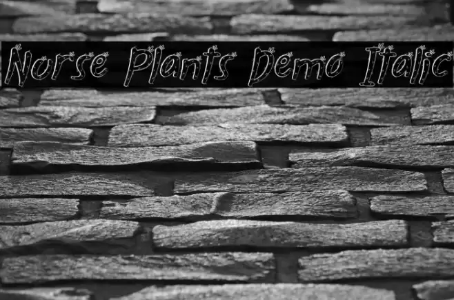 Nurse Plants Demo Italic Font examples