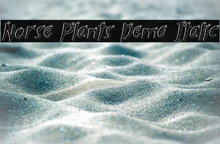 Nurse Plants Demo Italic Example 2