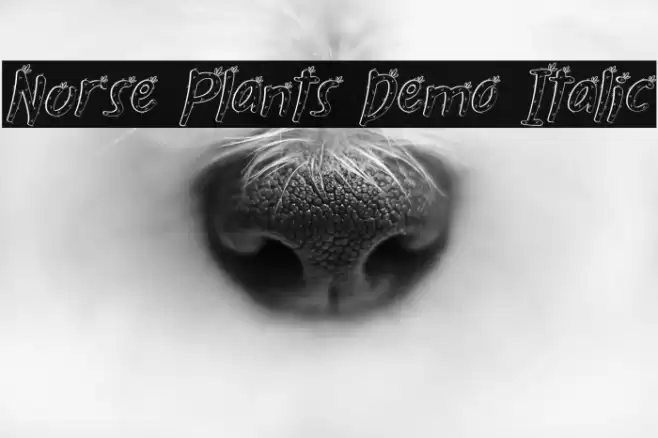 Nurse Plants Demo Italic Font examples