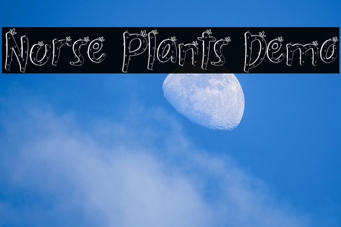 Nurse Plants Demo Example 2