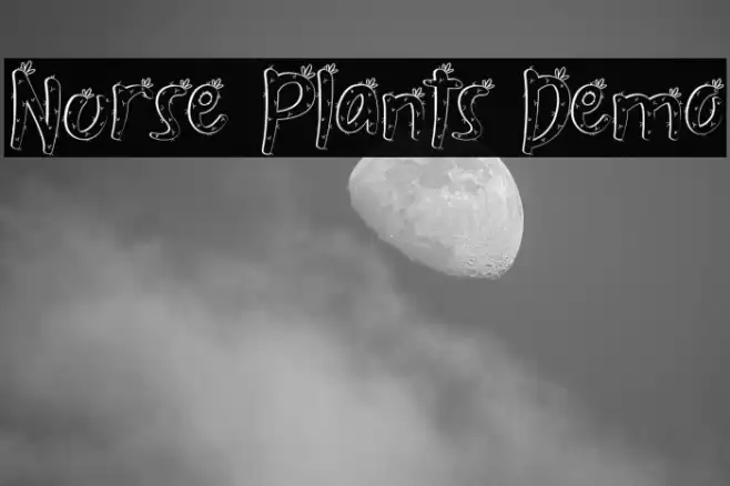 Nurse Plants Demo Polices examples