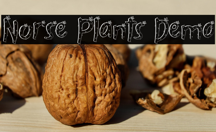 Nurse Plants Demo Example 3