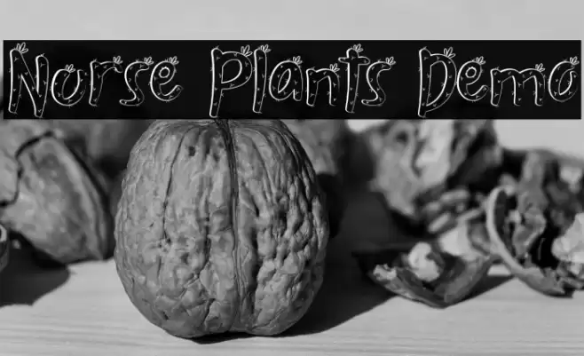 Nurse Plants Demo Polices examples