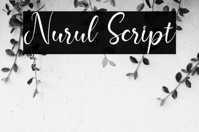 Nurul Script Font examples