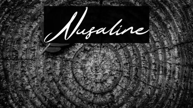 Nusaline Example 1