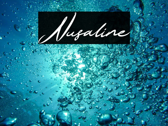 Nusaline Example 2
