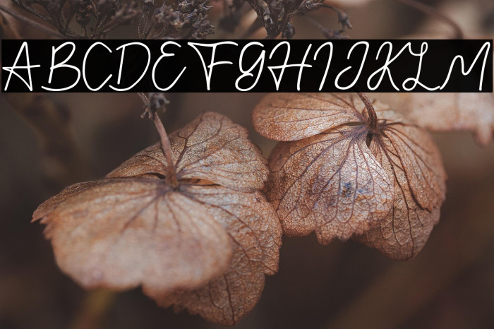 Nusapenida Signature Example 1