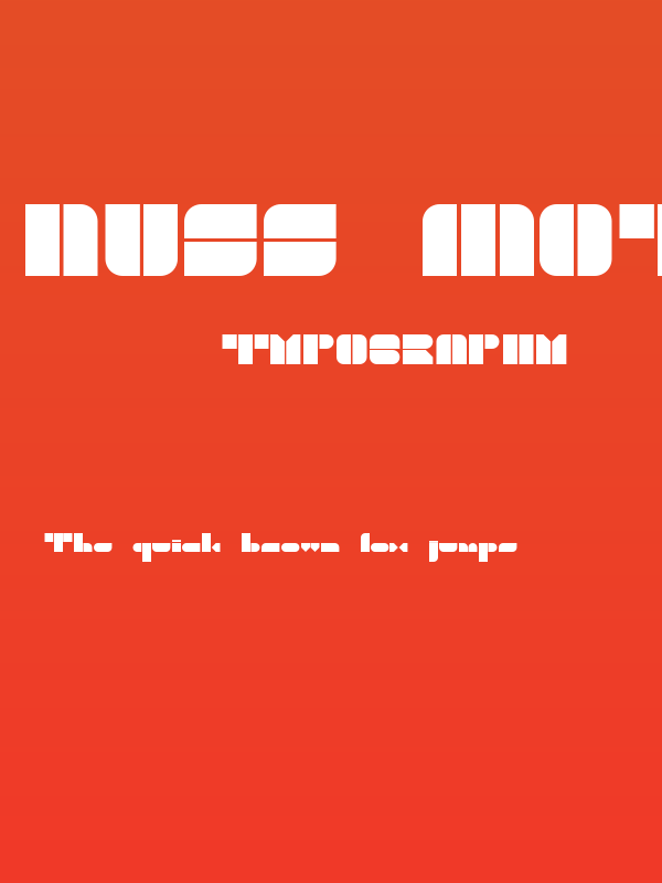 Nuss Motorsports Poster