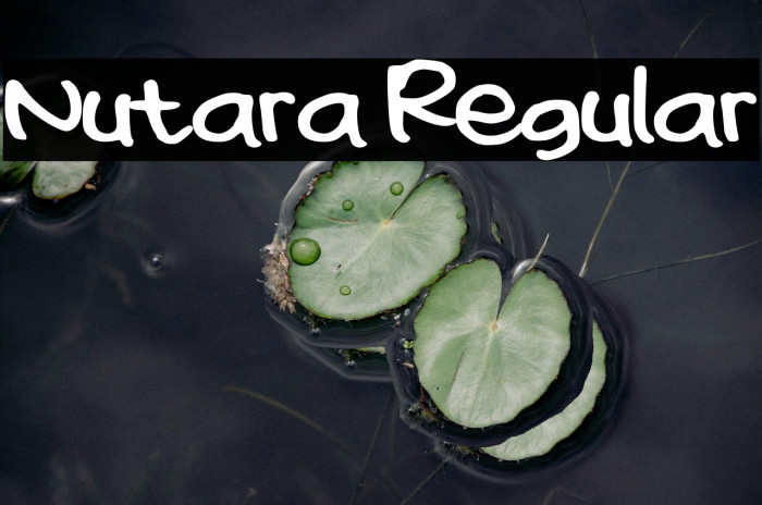 Nutara Regular Example 1