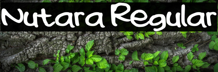 Nutara Regular Example 2