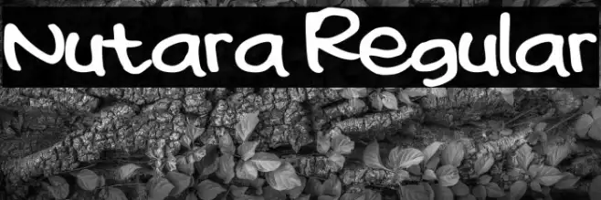 Nutara Regular Example 2