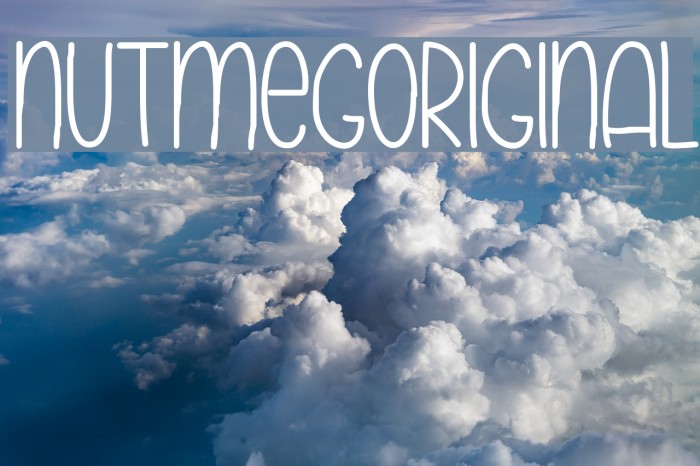 NutmegOriginal Example 1