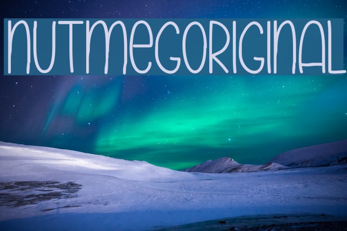 NutmegOriginal Example 3