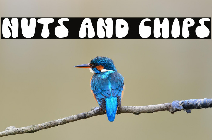 Nuts And Chips Example 2