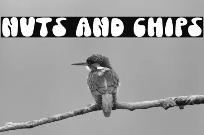 Nuts And Chips Font examples