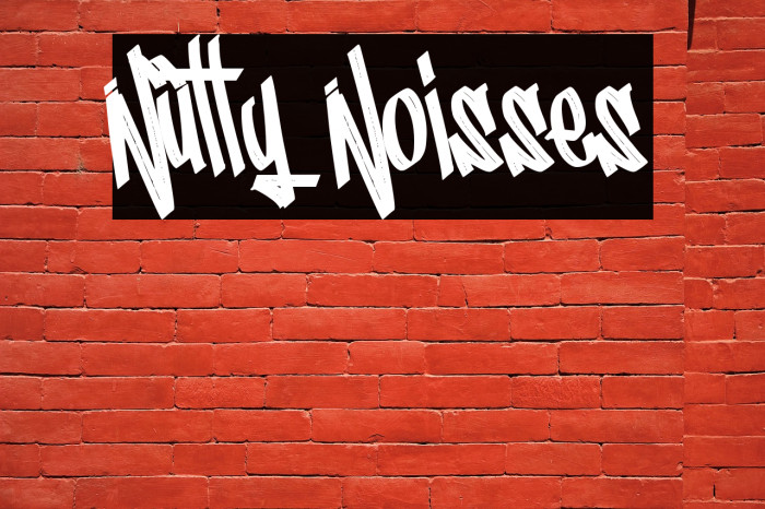 Nutty Noisses Example 1