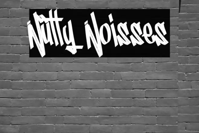 Nutty Noisses Example 1