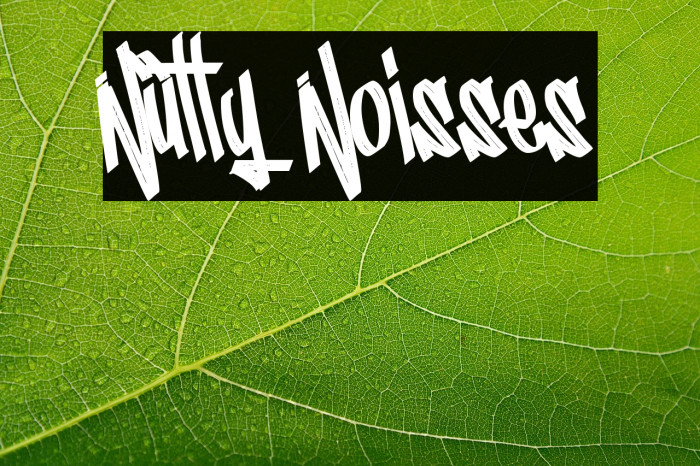 Nutty Noisses Example 3