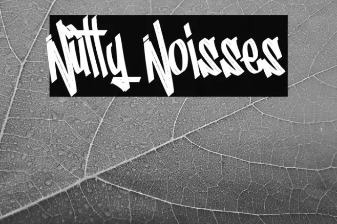 Nutty Noisses Example 3