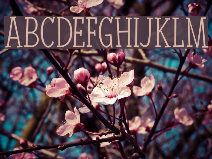 Nuuk DEMO Regular Font examples